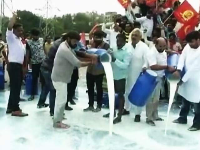 Gujarat Farmers Protest Over Loan Waiver, Spill Milk On Road