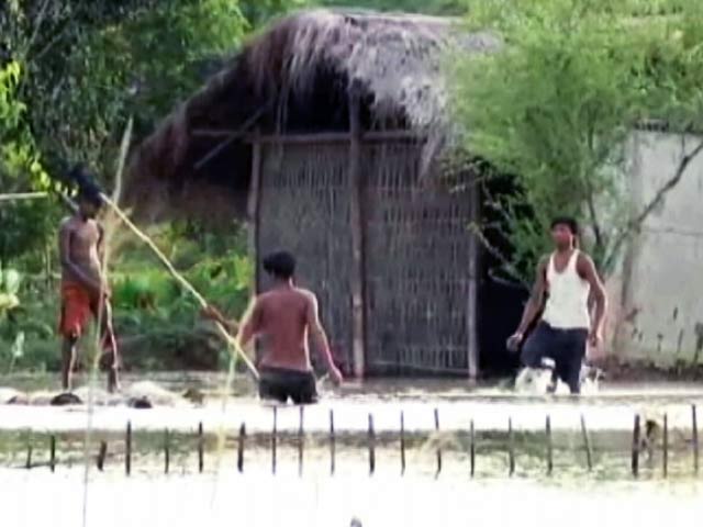 ग्राउंड रिपोर्ट : असम में बाढ़ से 5 लाख से ज्यादा प्रभावित