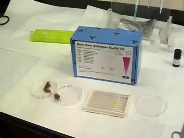 Beef Detection Kits For Maharashtra Cops Soon. Results Within 30 Minutes