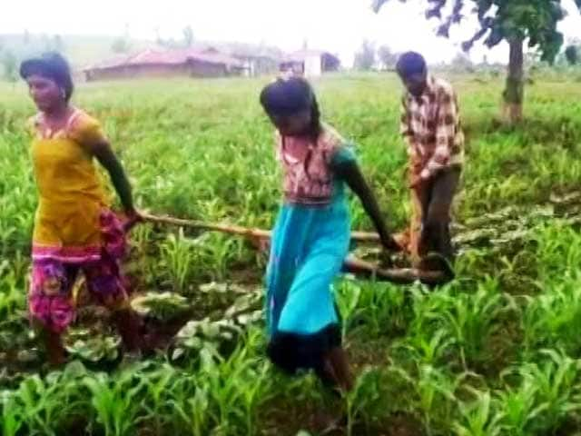 Help Reaches Madhya Pradesh Farmer Who Used Daughters To Pull Plough