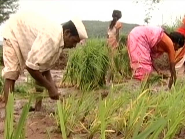 महाराष्ट्र :  कर्ज माफी पर अपने ही सवाल में उलझी कांग्रेस