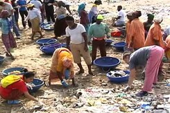 Mumbai's Vanishing Beaches Mumbai's Vanishing Beaches