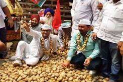 गुजरात में आलू किसानों का आंदोलन गुजरात में आलू किसानों का आंदोलन