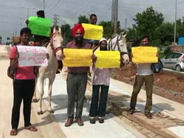 Video : To Protest Bad Roads, Hyderabad Techies Rode Horses To Work