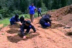 This School's Students Are Planting Water-Saving Grass In A Thirsty State This School's Students Are Planting Water-Saving Grass In A Thirsty State