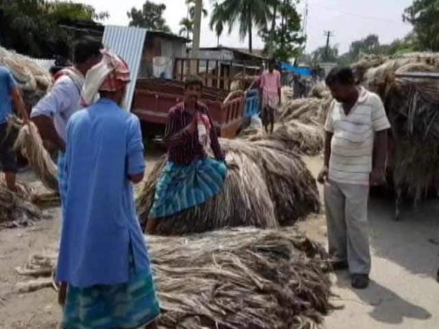 Video : Farmers' Peace Stripped Away Along With Crops In Assam Floods