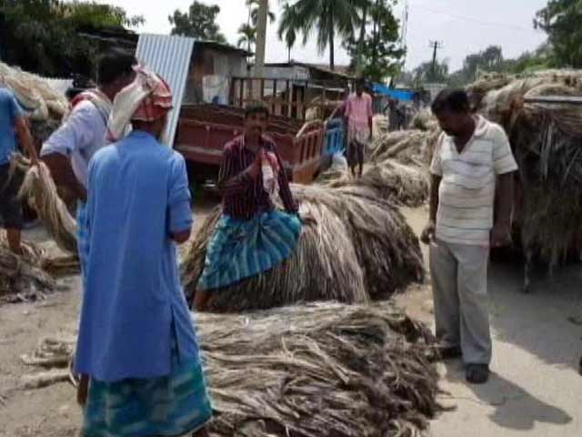 Farmers' Peace Stripped Away Along With Crops In Assam Floods