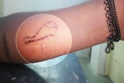 Diving Deep Into the Blue Whale Saga Diving Deep Into the Blue Whale Saga