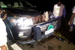 SUV Used By BS Yeddyurappa's Son Runs Over Pedestrian, Driver Arrested SUV Used By BS Yeddyurappa's Son Runs Over Pedestrian, Driver Arrested