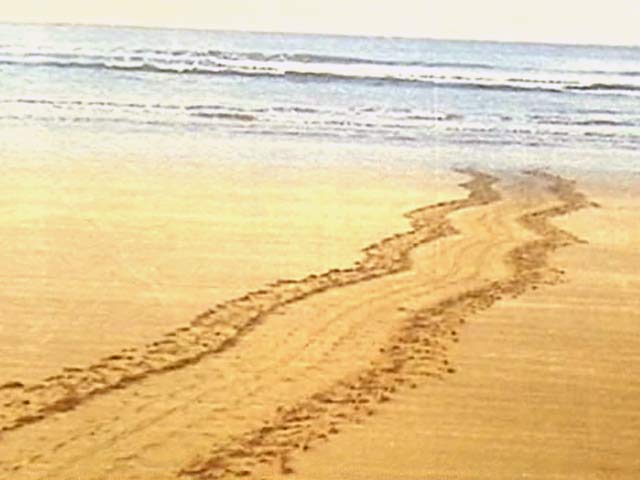 The Island of Land And Sea