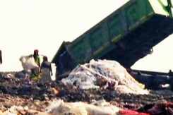 NDTV-डेटॉल बनेगा स्वच्छ इंडिया अभियान: स्वच्छ हवा हमारे लिए कितनी जरूरी है NDTV-डेटॉल बनेगा स्वच्छ इंडिया अभियान: स्वच्छ हवा हमारे लिए कितनी जरूरी है