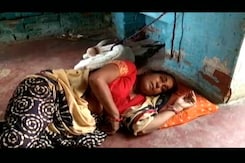 Calf Dead, Village Orders Woman To Beg For A Week, Take Dip In Ganga Calf Dead, Village Orders Woman To Beg For A Week, Take Dip In Ganga