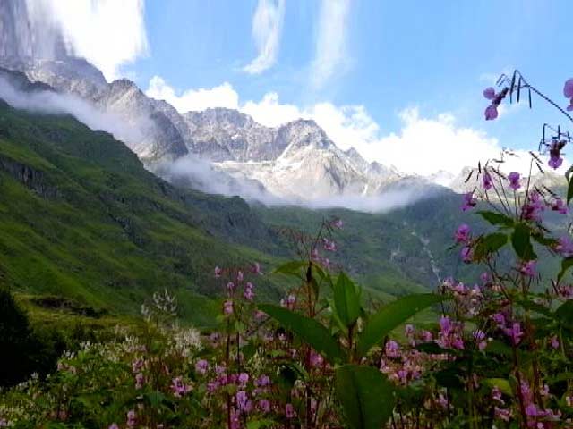 प्राइम टाइम: साझा और अनमोल विरासत है फूलों की घाटी