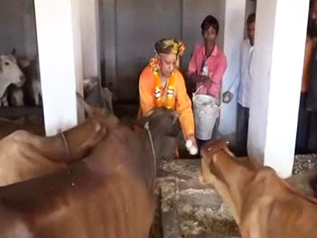 Video : For Yogi Adityanath, Dussehra At Gorakhnath, Grand Diwali Plan In Ayodhya