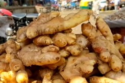 तेजाबी अदरक की अंदरूनी सच्चाई तेजाबी अदरक की अंदरूनी सच्चाई