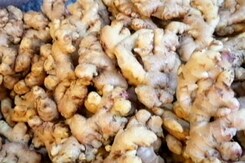 MoJo: तेजाब से धुली अदरक कितनी खतरनाक? MoJo: तेजाब से धुली अदरक कितनी खतरनाक?