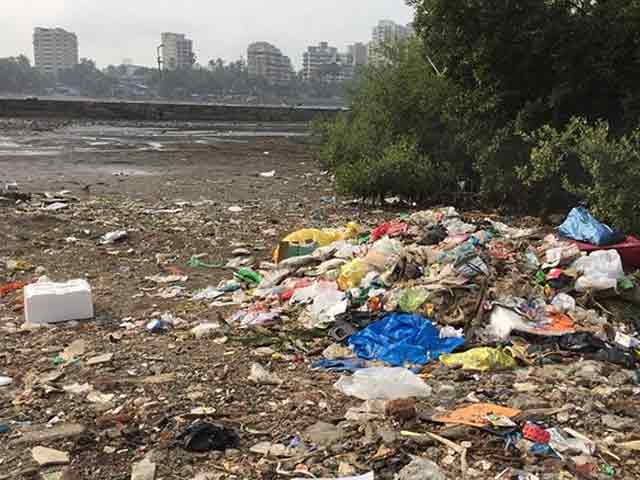 Best Of Banega Swachh India's 12-Hour Cleanathon - Part 2