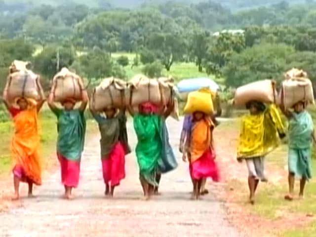 Video : Grim Reality Of Hunger In Jharkhand