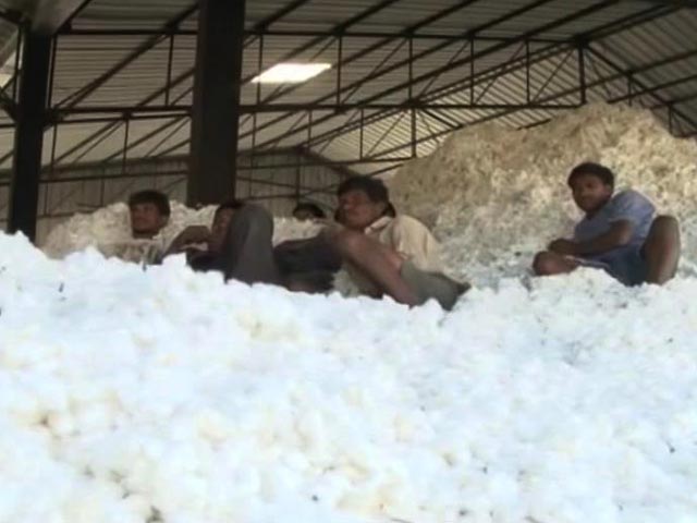 No Thread Of Hope For Cotton Farmers In Telangana