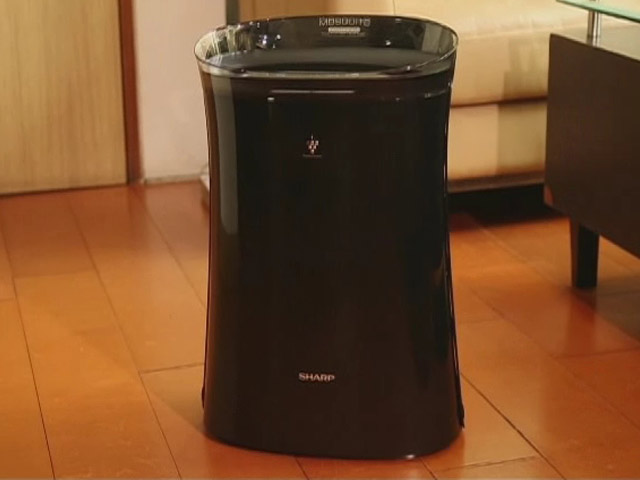 Taking the Fight to Pollution