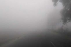 In 'Gas Chamber' Delhi, Junior Schools Won't Open Today In 'Gas Chamber' Delhi, Junior Schools Won't Open Today