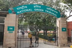 दिल्ली मेें ऑड-ईवन पर एनजीटी में आज होगी सुनवाई दिल्ली मेें ऑड-ईवन पर एनजीटी में आज होगी सुनवाई