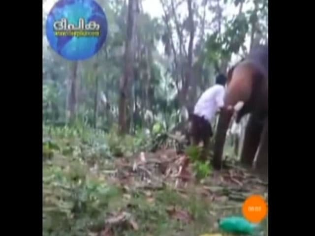 Video : Watch: Kerala Man's 'Baahubali' Stunt With Elephant Goes Horribly Wrong