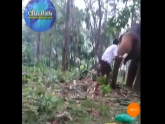Watch: Kerala Man's 'Baahubali' Stunt With Elephant Goes Horribly Wrong