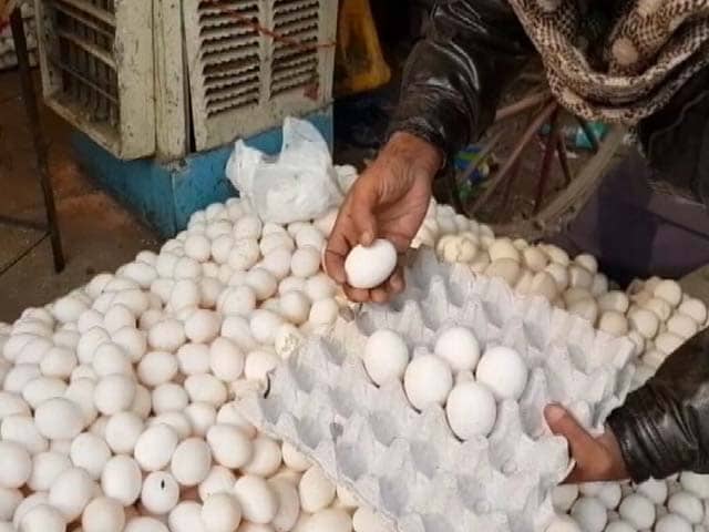 Videos : अंडे की कीमत में आया उबाल