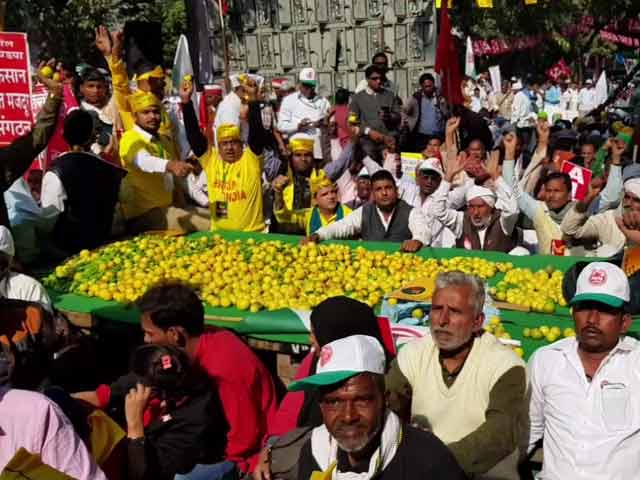 क्या इन किसानों की समस्याएं कलेक्टर, बीडीओ अपने स्तर पर नहीं सुलझा सकते?