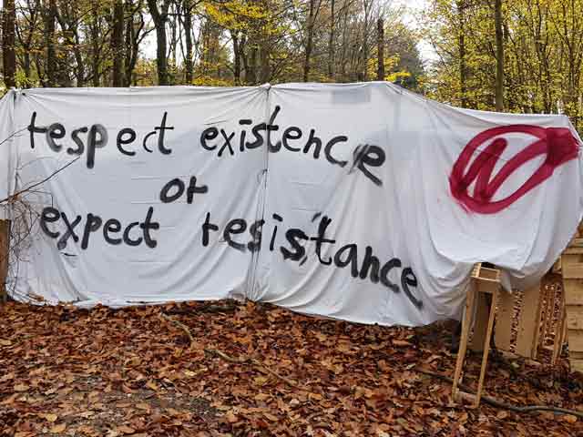 जर्मनी में जंगल को बचाने के लिए बनाए पेड़ों पर घर