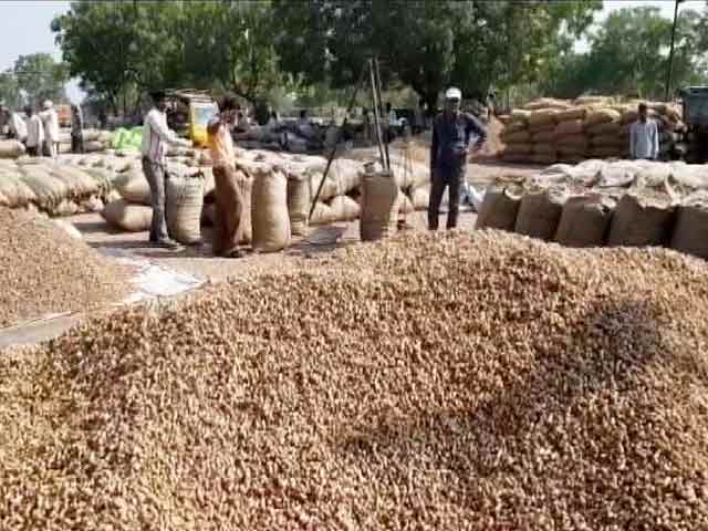 Videos : ग्राउंड रिपोर्ट: गुजरात के अमरेली में खस्ताहाल किसान