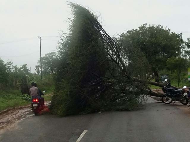 Video : 4 Dead As Rain Batters Tamil Nadu, Cyclone Ockhi Heads For Lakshadweep