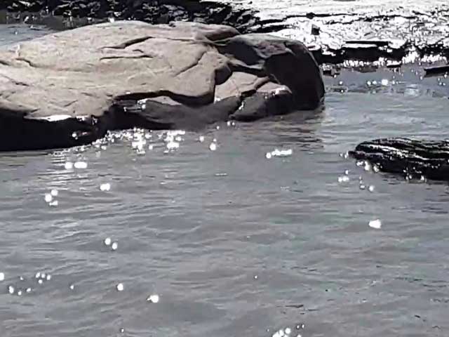 Video : अरुणाचल प्रदेश के सियांग नदी का पानी हुआ काला