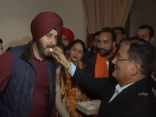 Congress Sweeps Civic Body Polls In Amritsar, Jalandhar, Patiala