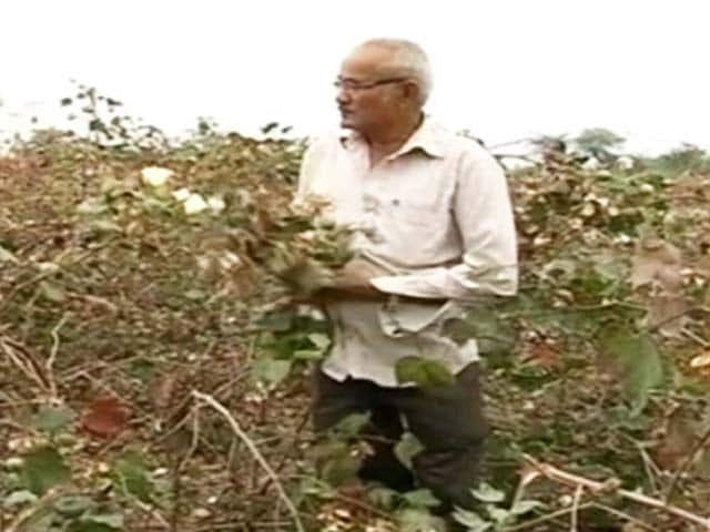 Video : A Patel Farmer On What Went Wrong For The BJP In Gujarat's Saurashtra