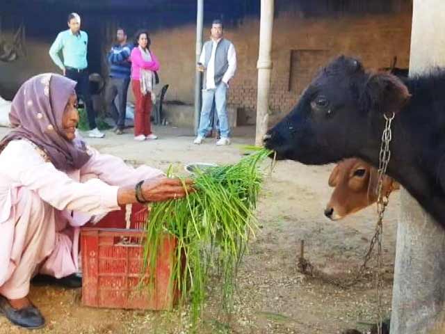 गोरक्षा के नाम पर कथित पशु तस्करों के साथ मुठभेड़ के मामले बढ़े