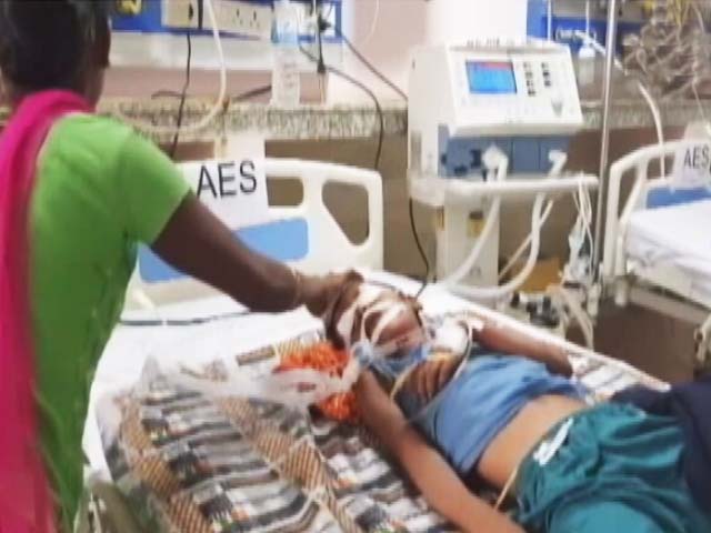 Video : डॉक्टर्स ऑन कॉल : वायरस से फैलता है डेंगू और चिकुनगुनिया, जानें बचाव के उपाय