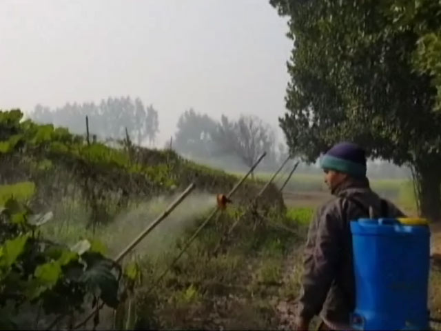 जैविक खेती ने बदल दी किसानों की किस्मत