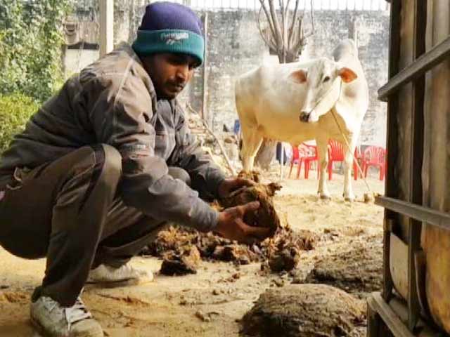 जैविक खाद बनाने का चमत्कारी फॉर्मूला, किसानों के लिए वरदान