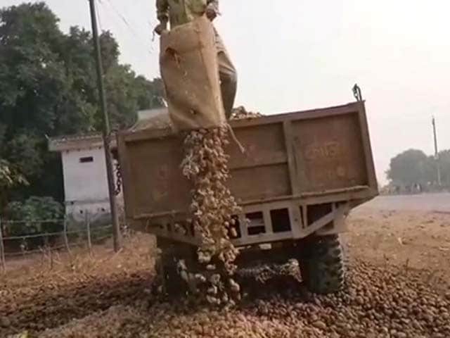 Video : Why Potatoes Are Being Dumped In Uttar Pradesh