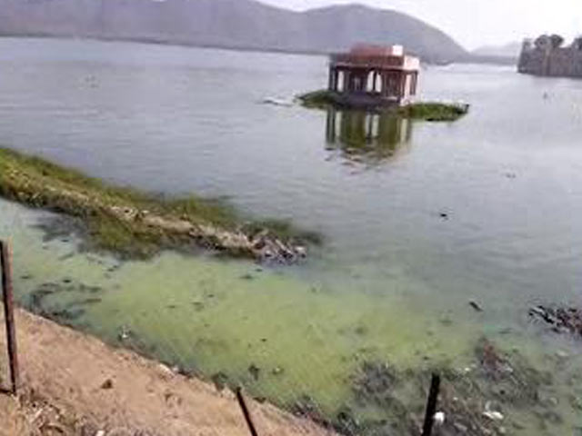 Video: Tourists Hope For Focus On Cleanliness In Budget 2018