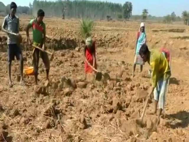 Will Budget's Rural Sector Provisions Signal Better Days For Farmers