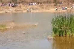 5 Bodies Found In Andhra Pradesh Lake, No One Knows Where They Came From 5 Bodies Found In Andhra Pradesh Lake, No One Knows Where They Came From