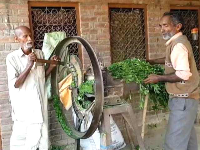 बैंक कर्ज से जूझते छोटे किसान