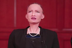 The Hottest Bot in Town The Hottest Bot in Town