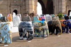 A Hit In UK, Elephant Parade In India To Raise Animal Conservation Funds A Hit In UK, Elephant Parade In India To Raise Animal Conservation Funds