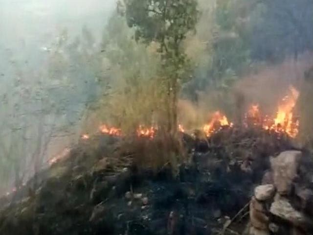 Video : Nine Trekkers Dead In Massive Forest Fire In Tamil Nadu, 30 Rescued