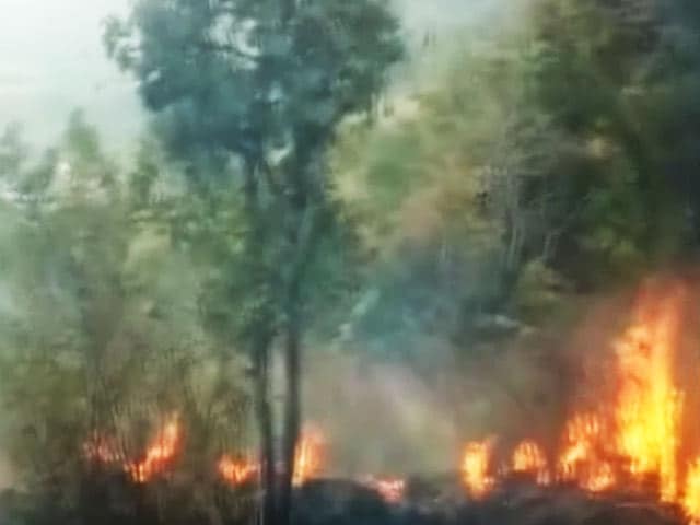 Video : तमिलनाडु के जंगल में लगी आग, 9 की मौत