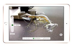360 Daily: iPad (2018) India Price And Availability, And More 360 Daily: iPad (2018) India Price And Availability, And More